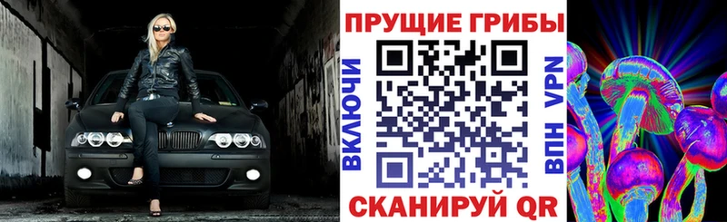 наркотики  мориарти клад  blacksprut ссылка  Псилоцибиновые грибы Psilocybine cubensis  Троицк 