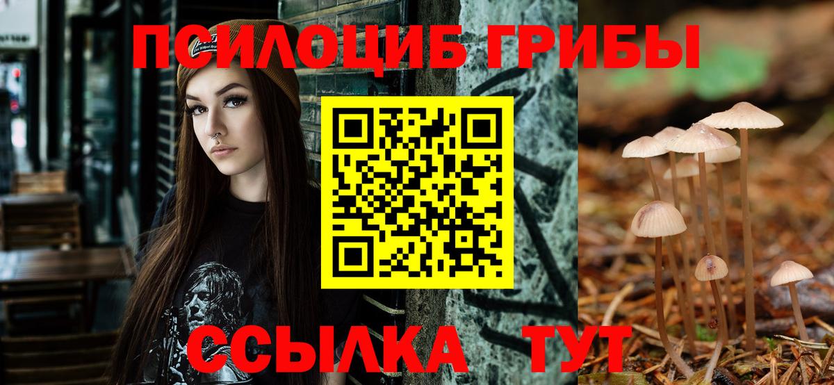 Троицк  Галлюциногенные грибы MAGIC MUSHROOMS  Вход с VPN 