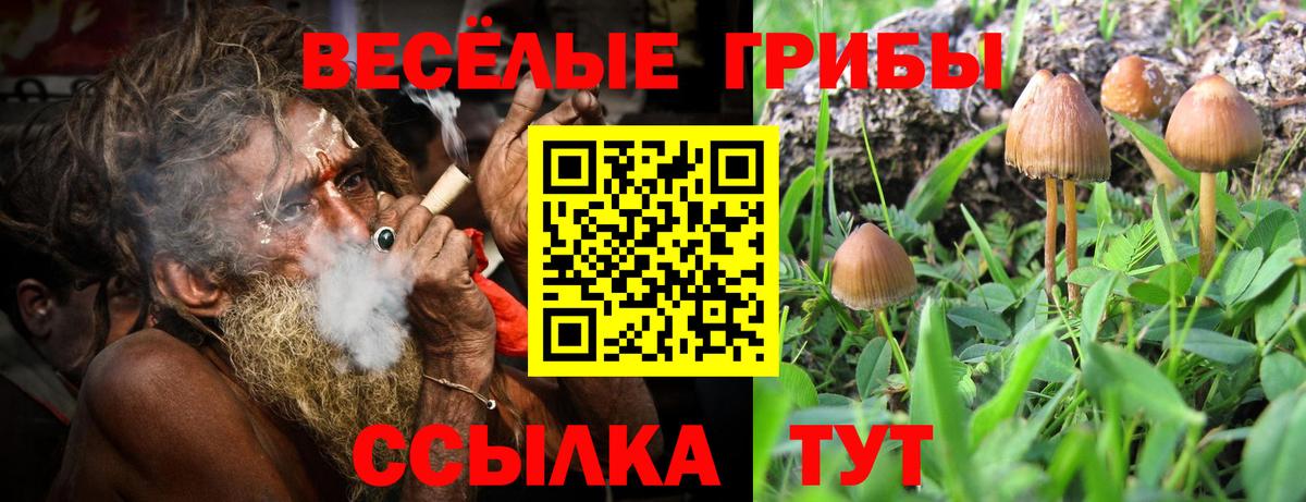 Псилоцибиновые грибы прущие грибы Троицк